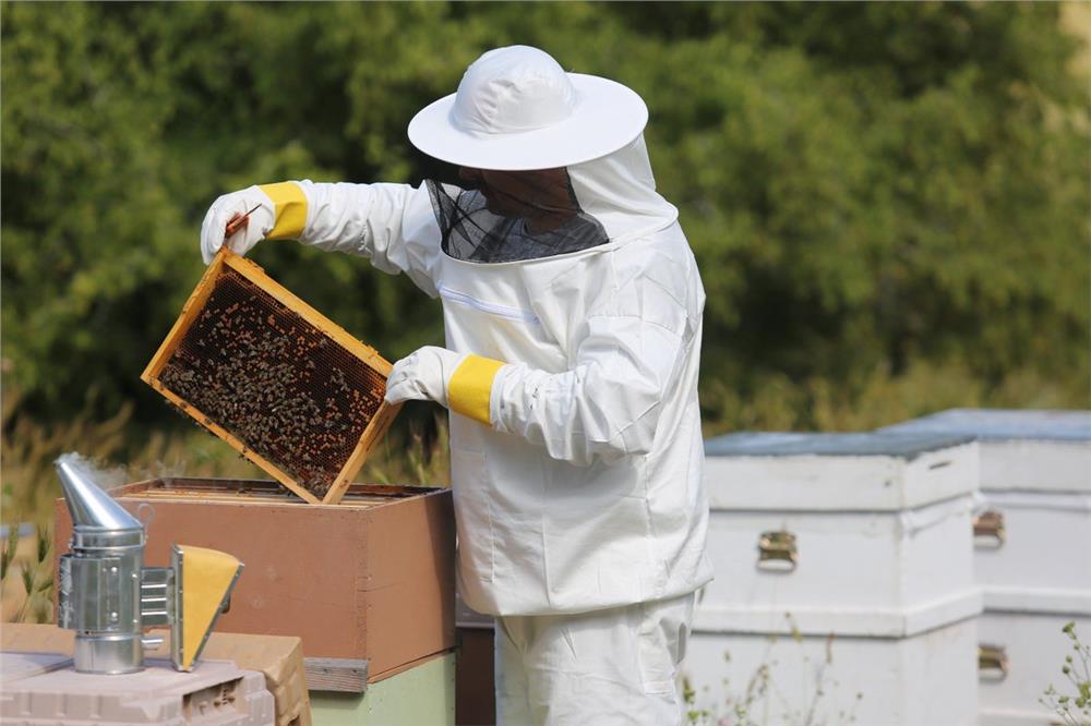 Büyükkılıç: “800 adet arılı kovan dağıtacağız”