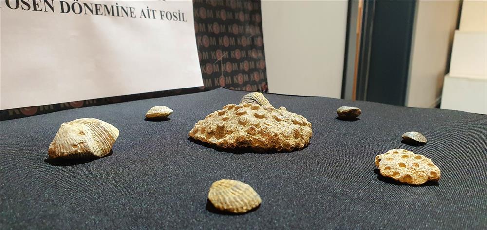 Kayseri’de polis 10 milyon yıllık fosil ele geçirdi