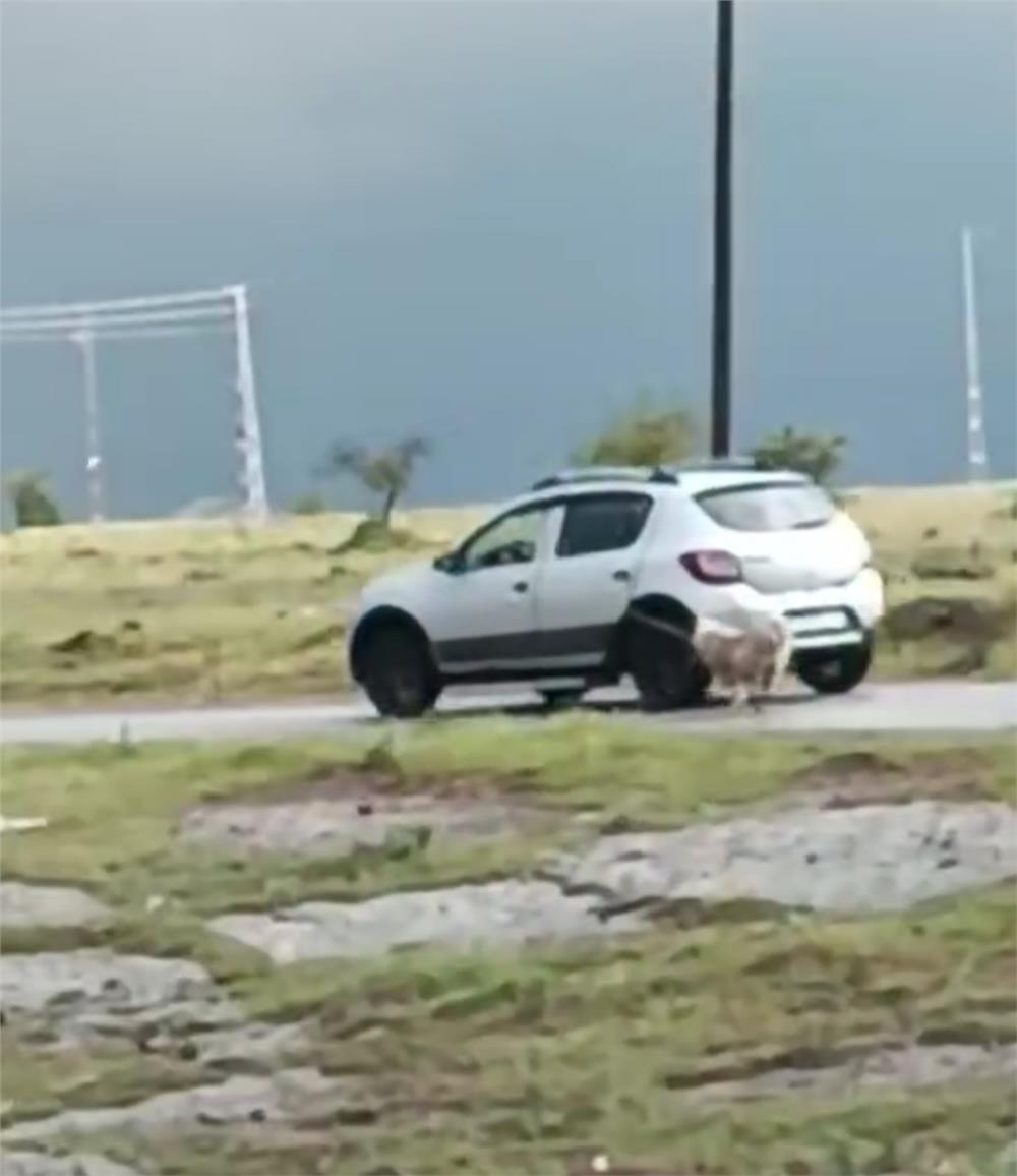 Köpeği otomobile iple bağlayıp sürükledi Köpeği otomobile iple bağlayıp sürükledi