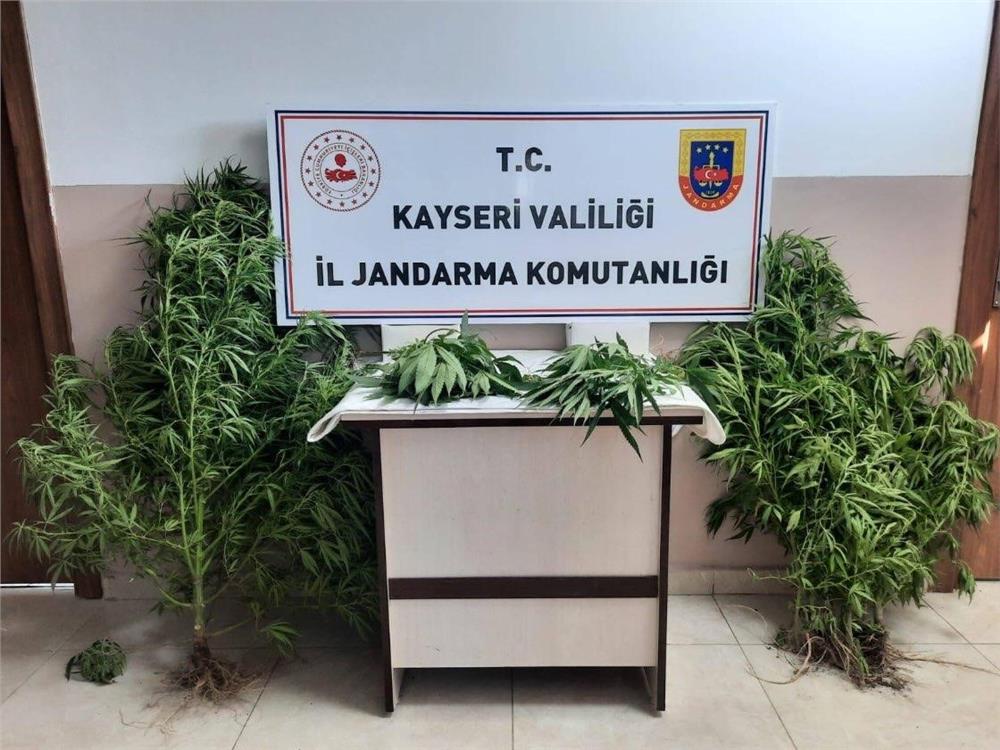 Jandarma Kayseri’de uyuşturucuya geçit vermiyor Jandarma Kayseri’de uyuşturucuya geçit vermiyor