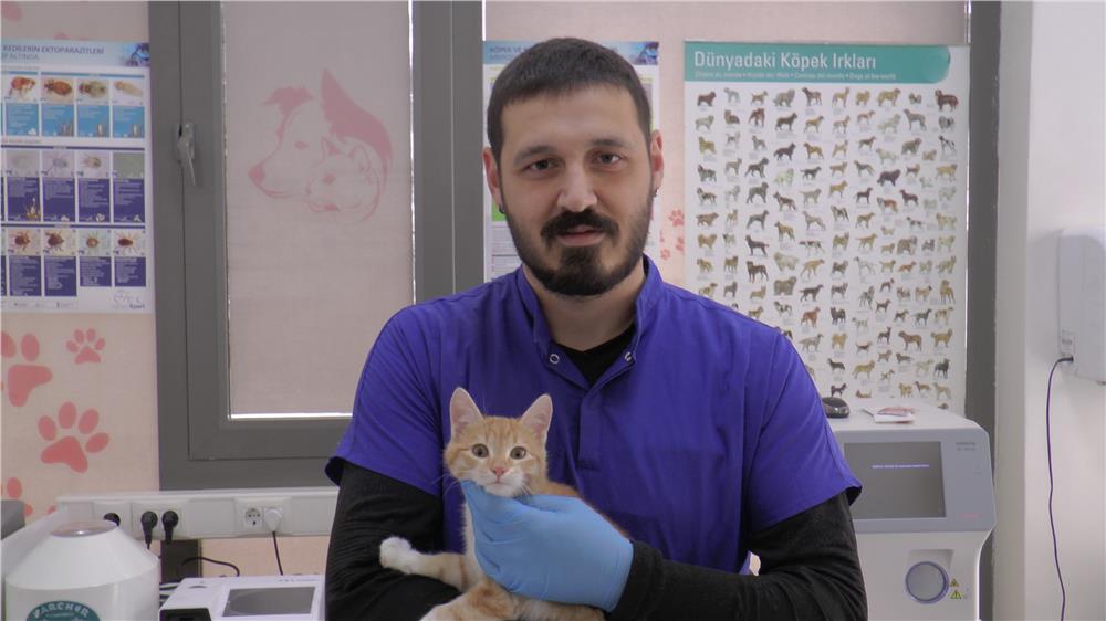 Kırsal bölgelerde yaşayan vatandaşlar ‘kurt’ uyarısı Kırsal bölgelerde yaşayan vatandaşlar ‘kurt’ uyarısı