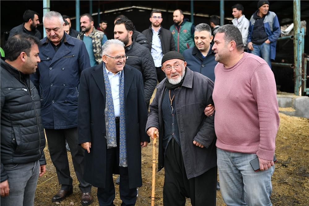 Başkan Büyükkılıç'tan üreticilere 100 manda Başkan Büyükkılıç'tan üreticilere 100 manda