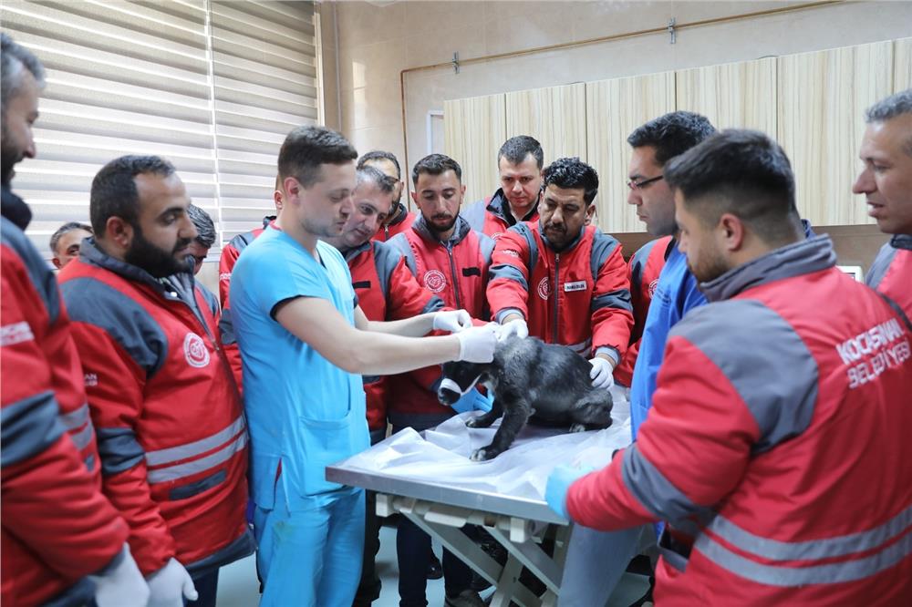 Kocasinan Belediyesi’nden veterinerlik personeline sertifikalı eğitim