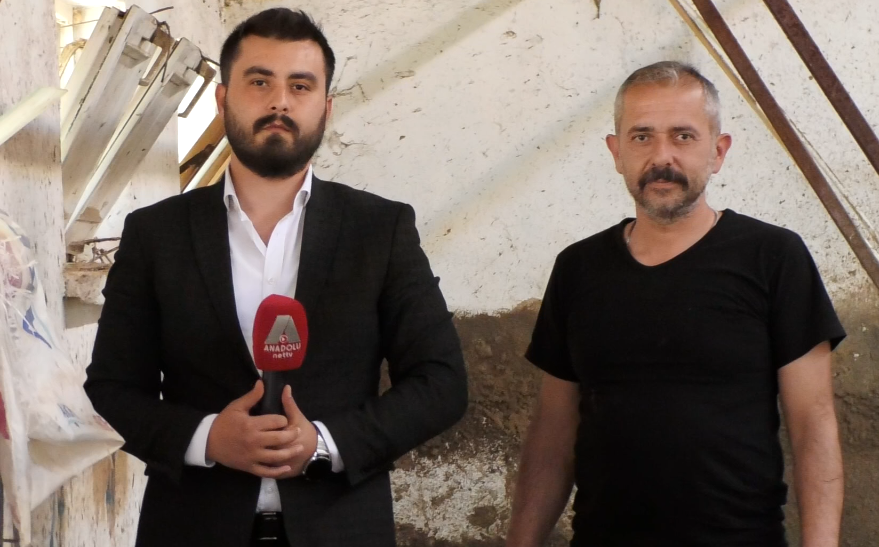 Kurban Bayramı Öncesi Çiftliklerde Yoğun Mesai… Kurban Bayramı Öncesi Çiftliklerde Yoğun Mesai…