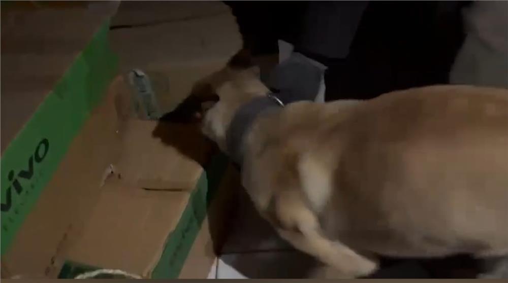 Narkotik köpeği ETA, zehir tacirlerine göz açtırmıyor Narkotik köpeği ETA, zehir tacirlerine göz açtırmıyor