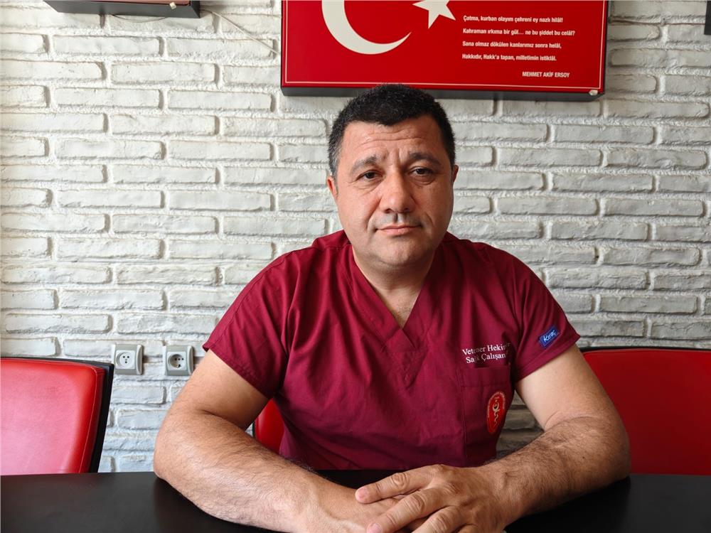 Sineklerle mücadele yönteminizi değiştirin Sineklerle mücadele yönteminizi değiştirin