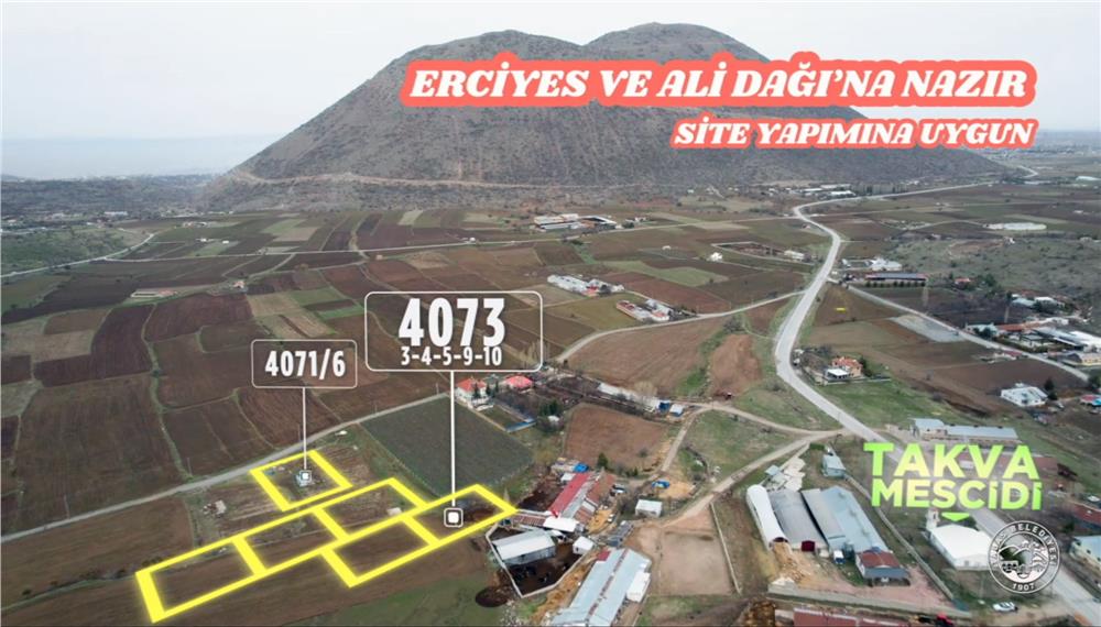 Talas