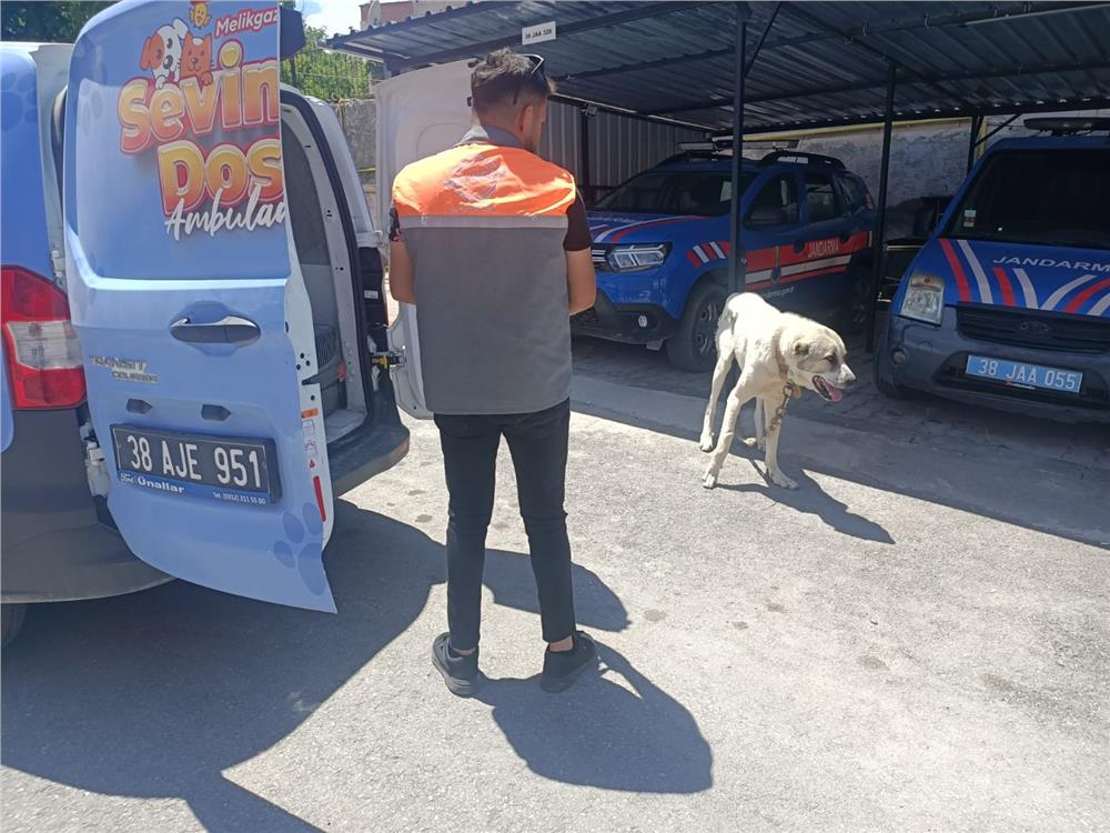 Köpeği otomobile bağlayarak çektiren şahsa ceza