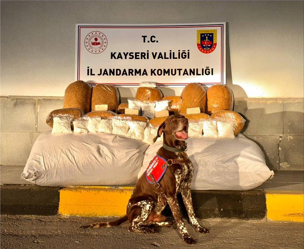 Otobüste 450 kilogram kaçak tütün ele geçirildi Otobüste 450 kilogram kaçak tütün ele geçirildi