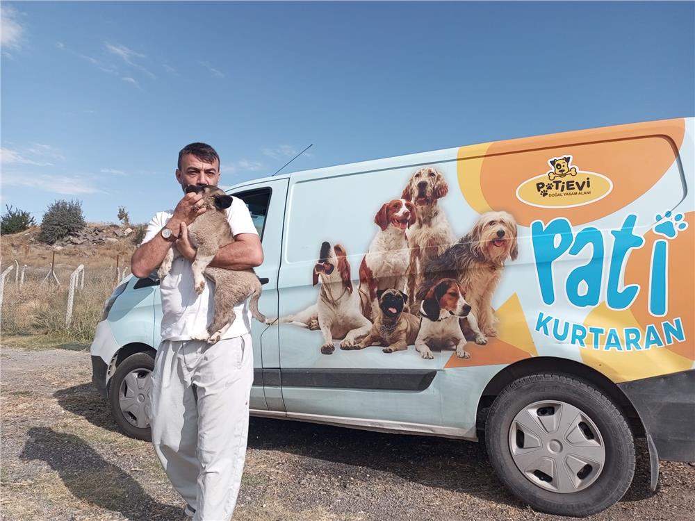 Belediye ekipleri nefes kesen operasyonla yavru köpeği kurtardı Belediye ekipleri nefes kesen operasyonla yavru köpeği kurtardı