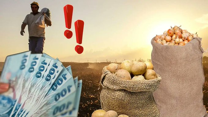 Kayseri çiftçisine müjde! Patates ve soğana altın destek!