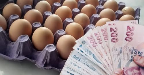 Okullar açıldı, Kayseri