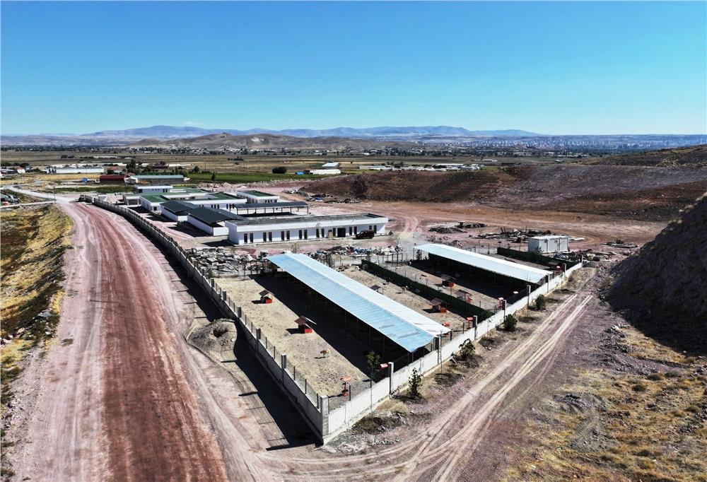 Çolakbayrakdar: Kayseri’miz, konforlu ve modern hayvan bakımevi ile öncü bir şehir oluyor Çolakbayrakdar: Kayseri’miz, konforlu ve modern hayvan bakımevi ile öncü bir şehir oluyor