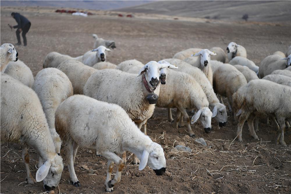 Başkan Büyükkılıç