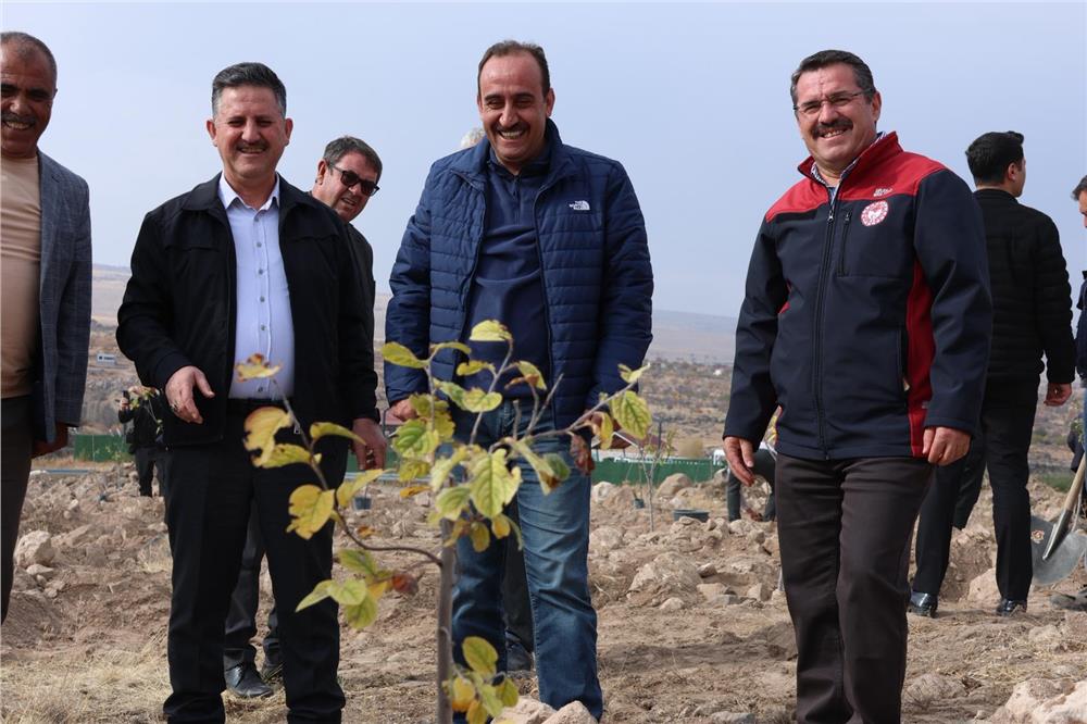İncesu’da badem ve Ayva ağaçları toprakla buluştu