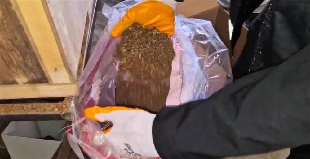 Kayseri’de 49 bin 200 adet kaçak makaron ele geçirildi: 1 gözaltı