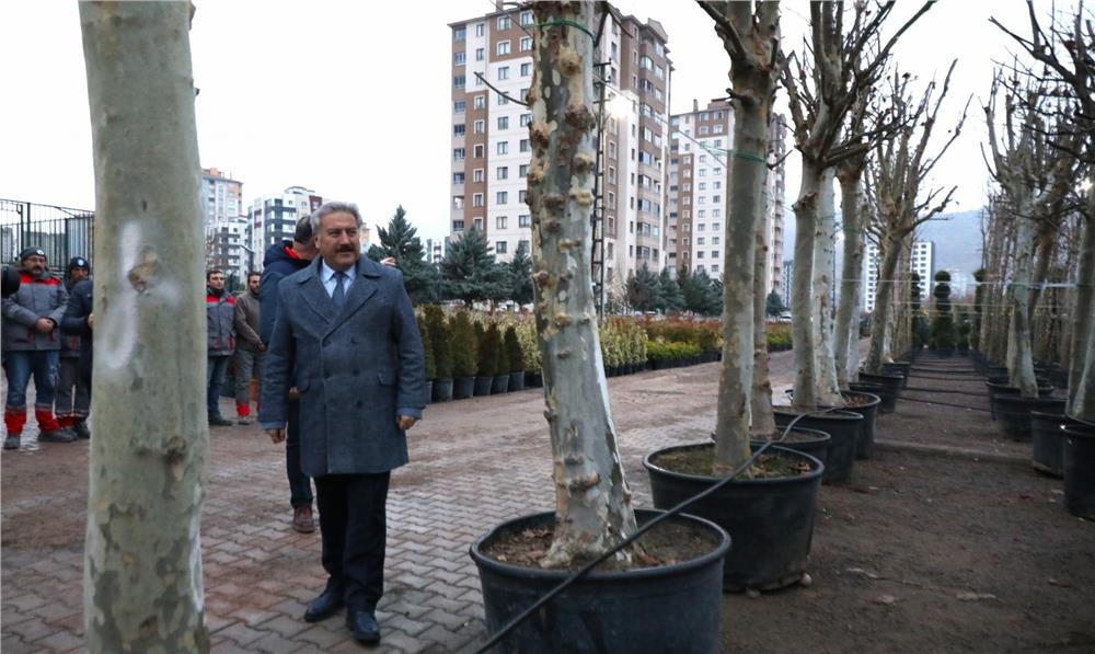Melikgazi Belediyesi, yeni ağaçlarla nefes olmaya devam ediyor
