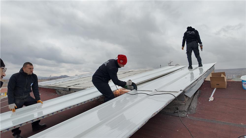 Ulu çınarların yuvası yenileniyor