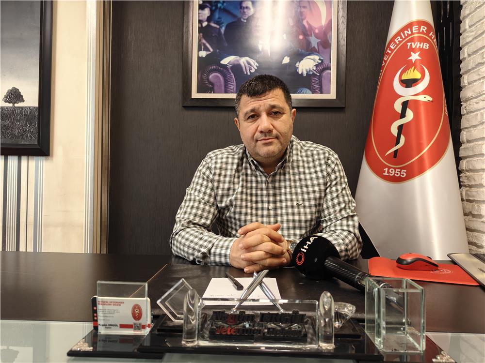 Evcil hayvanlarda kışın tüy dökme hastalık değil