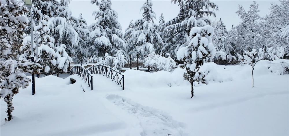 Hacılar Belediyesi ekipleri karla mücadele için sahada