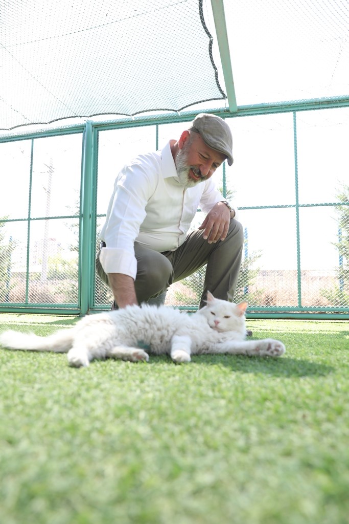 Kayseri'de ilk ve tek küçük dostları Kedi Kasabası, ziyaretçi rekoru kırıyor