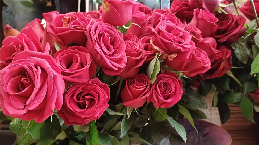 Sevgililer Günü'nde trend kırmızı gül