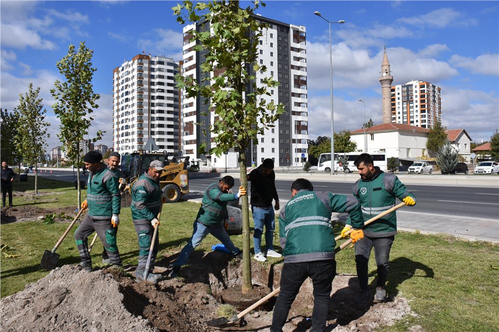 Başkan Çolakbayrakdar: Türkiye’de ağaç dikmede rekor kırdık, şimdi yeni bir rekor için çalışıyoruz