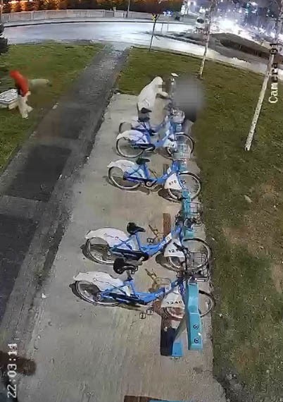 Belediyenin bisikletlerine böyle zarar verdiler
