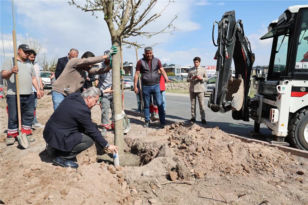 Palancıoğlu, İldem Bölgesi