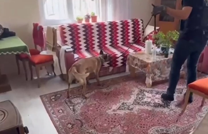 Silah tacirlerine operasyon: Çok sayıda silah ve uyuşturucu ele geçirildi