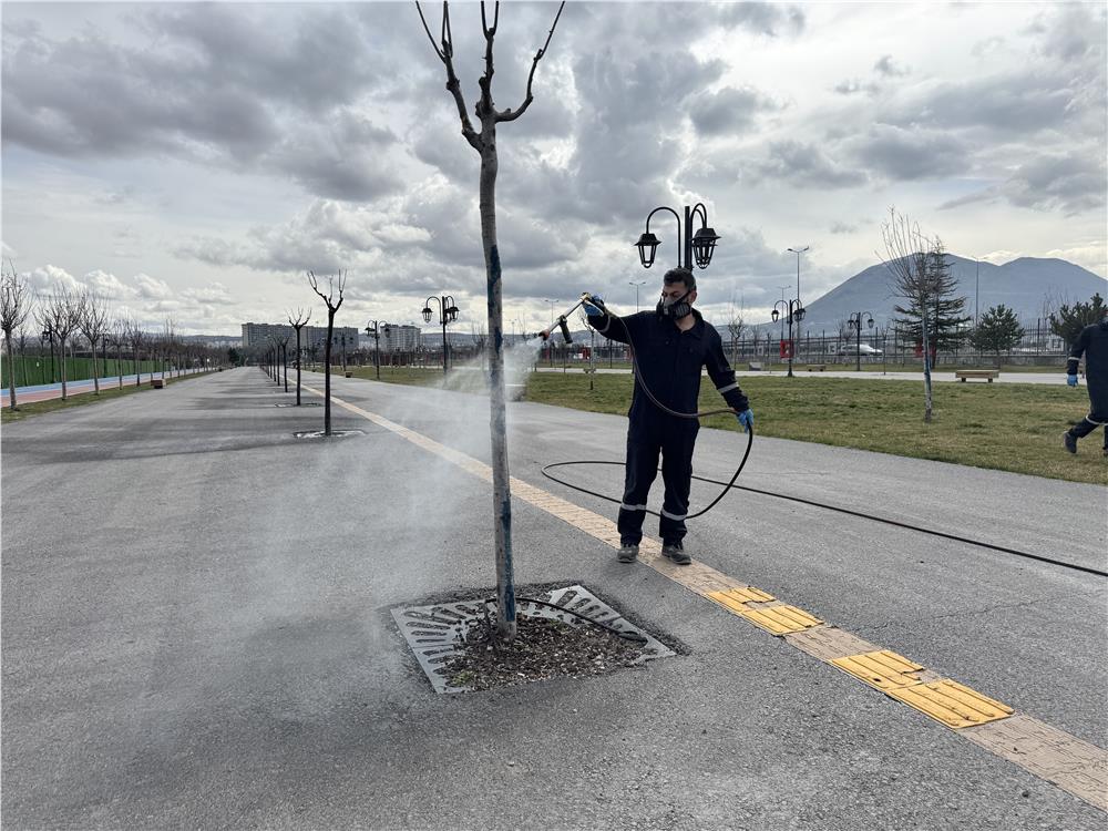 Yeşil alanlarda ilaçlama seferberliği başladı