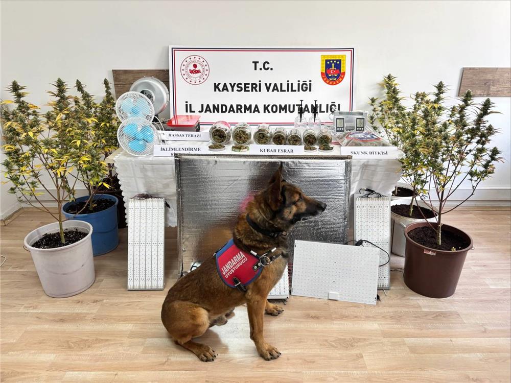 Kayseri'de uyuşturucu operasyonu: 1 kişi gözaltına alındı