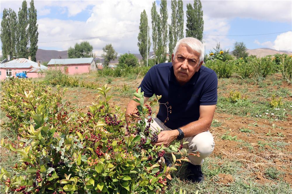 Aronya ile ilçeyi kalkındıracaklar