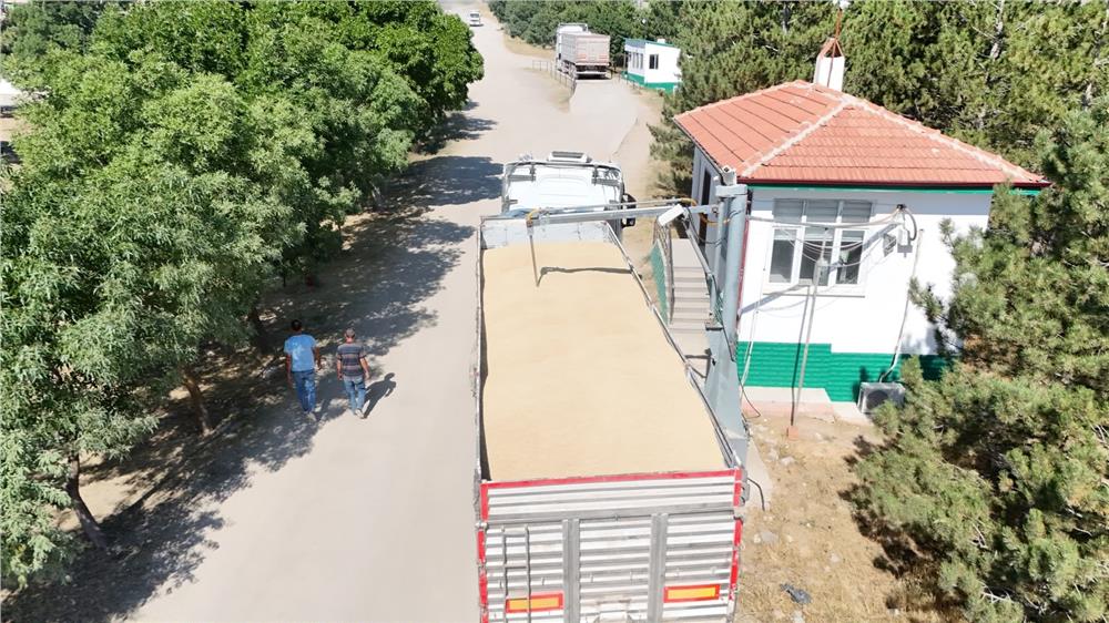 Tomarza’da hububat alımları sürüyor