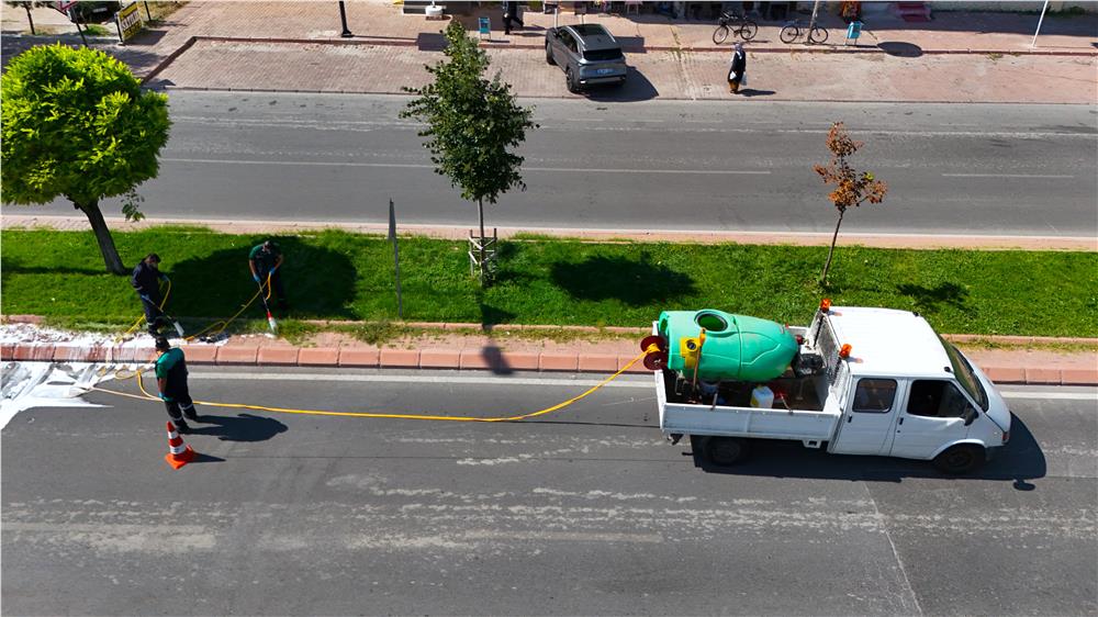 Yeşil alanlarda hastalık ve zararlılara karşı mücadele sürüyor