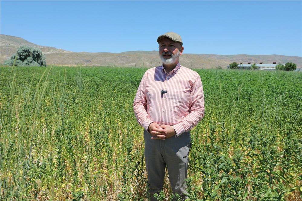 Başkan Çolakbayrakdar: Ekiyoruz, üretiyoruz, hasat ediyoruz ve ailelerimizle paylaşıyoruz