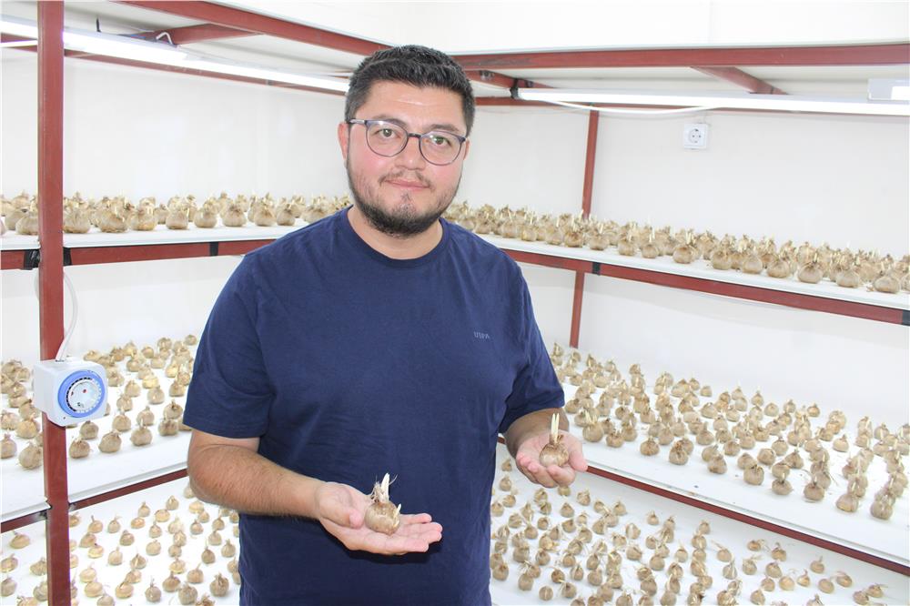 'Kayseri’de yetişmez' denildi girişimci başardı