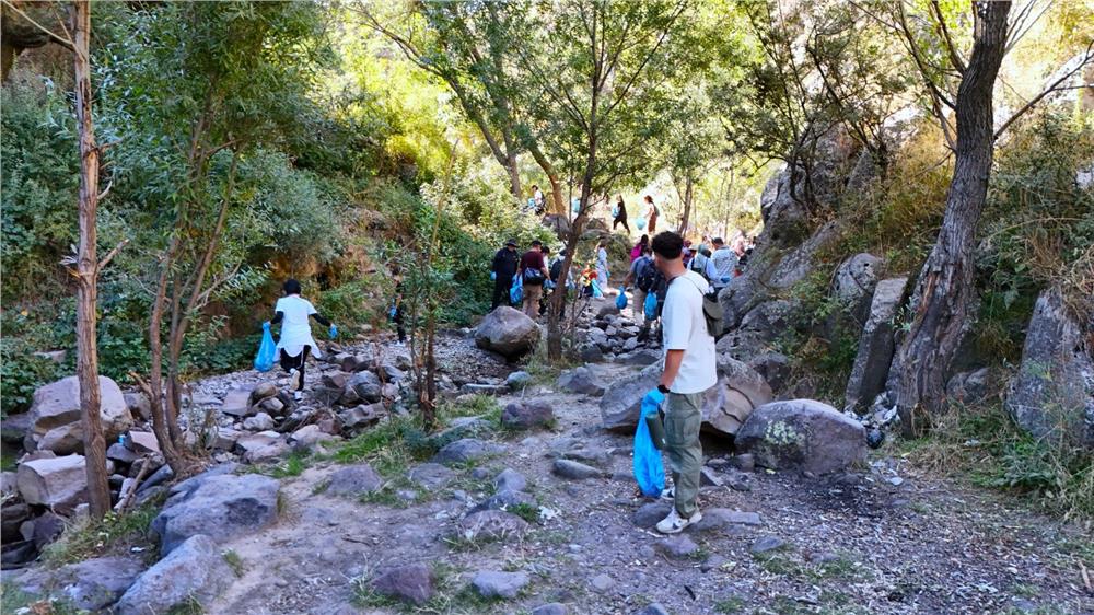 Kırlangıç Vadisi'nde Yeşil seferberlik