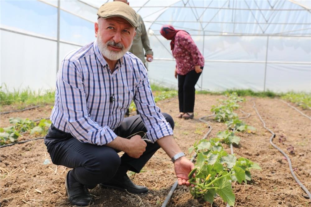 Çolakbayrakdar: Kayseri’mizde bir ilk olan şehir merkezi tarımıyla geleceği inşa ediyoruz