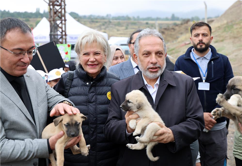 Hayvanları Koruma Günü, Talas Pati Evi Doğal Yaşam Alanı'nda kutlandı
