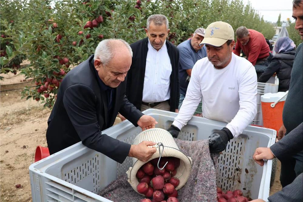 Kayseri'nin Yahyalı ilçesinde Elma hasadı başladı